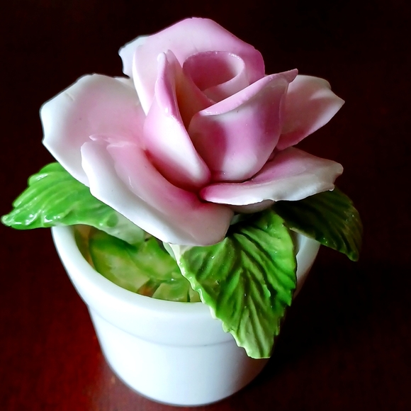 Vintage Radnor Bone China - Picture 2 of 5